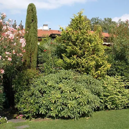 Residenza Giardino - Chez Antoinette * Ascona